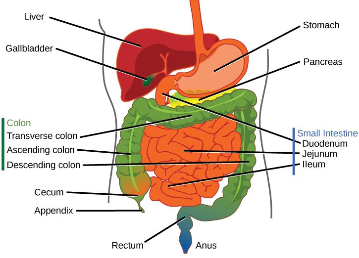 Figure_34_01_10f