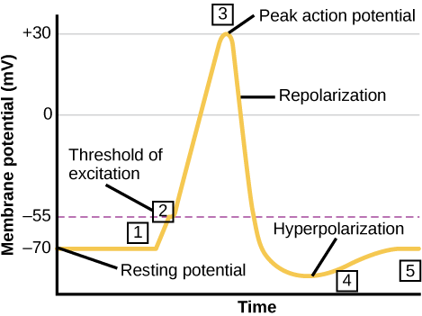 Figure_35_02_03