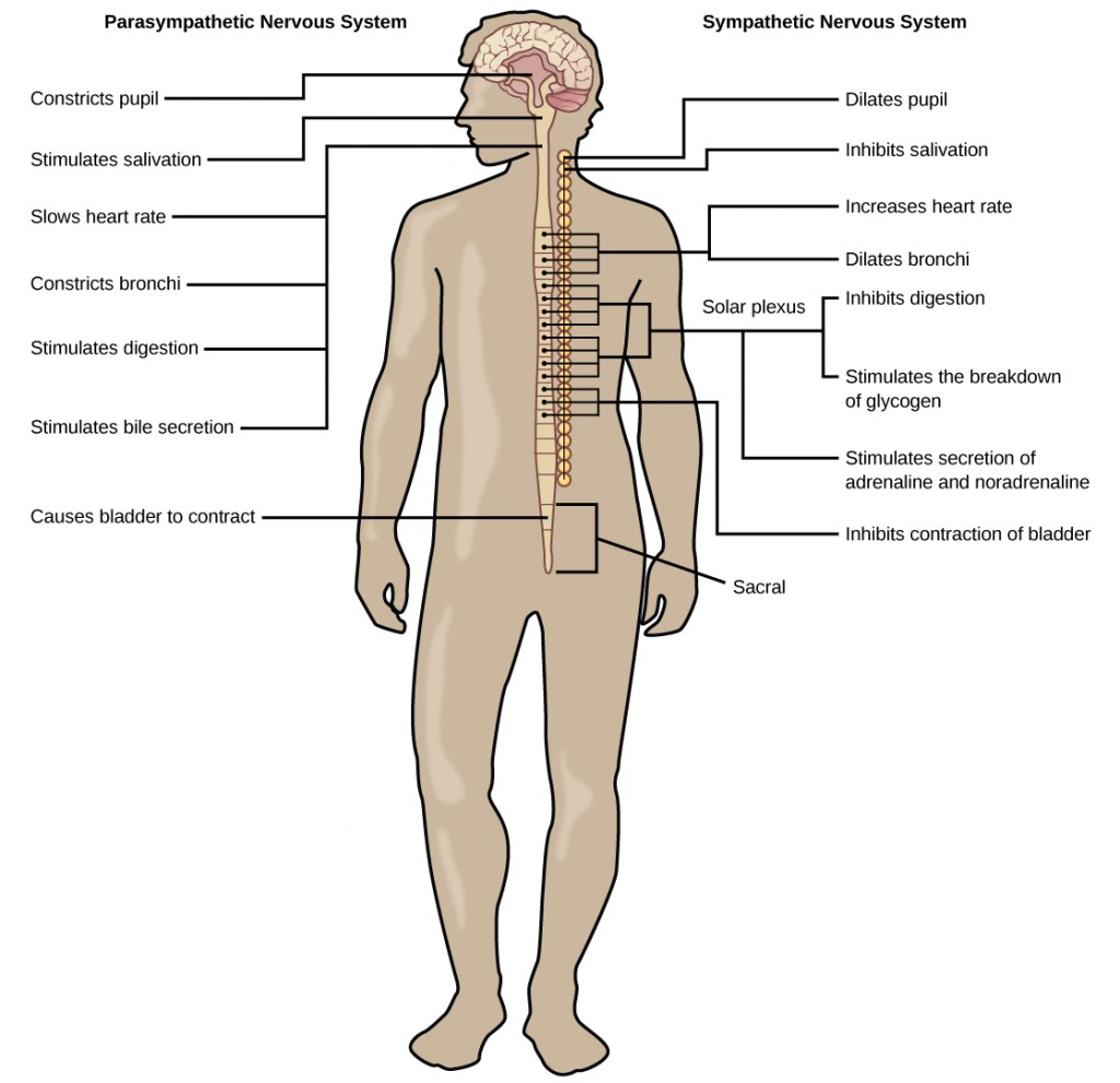 Figure_35_04_02