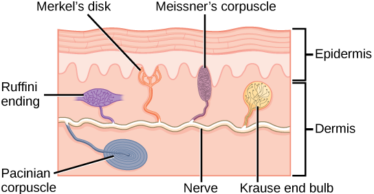 Figure_36_02_02