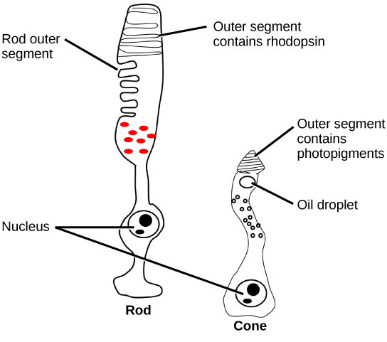 Figure_36_05_03