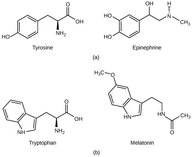 Figure_37_01_02ab