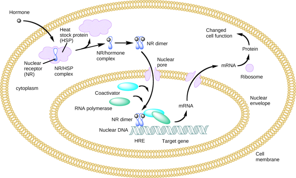 Figure_37_02_01