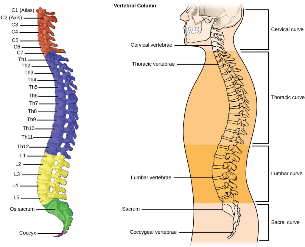 Figure_38_01_07