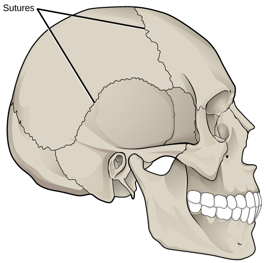 Figure_38_03_01