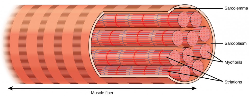 Figure_38_04_02