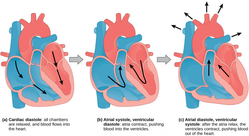 Figure_40_03_03