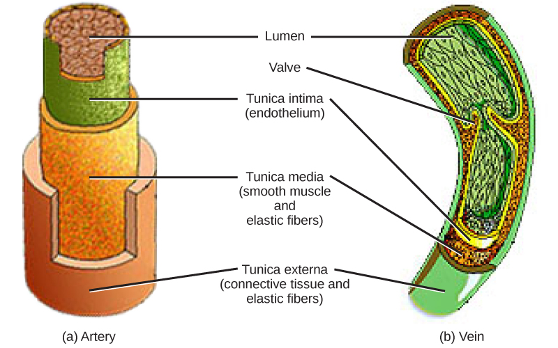 Figure_40_03_07