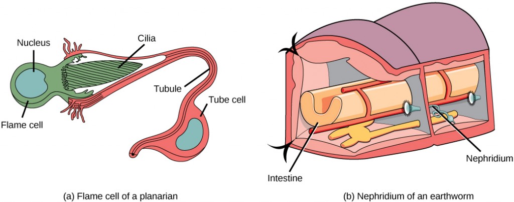 Figure_41_02_02