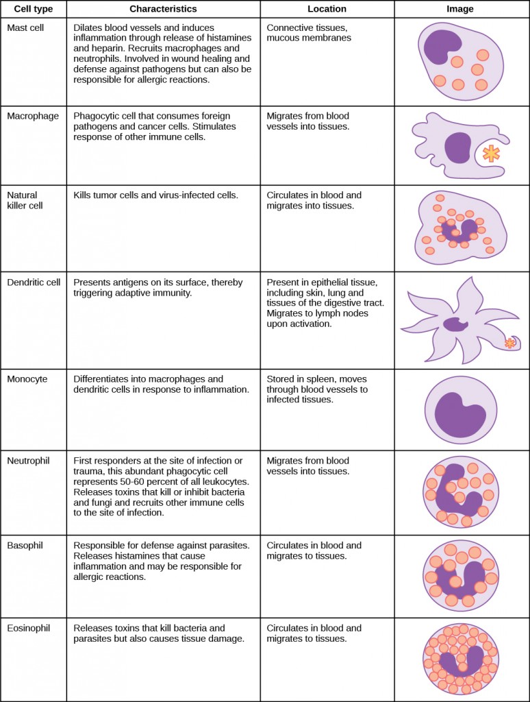 Figure_42_01_01