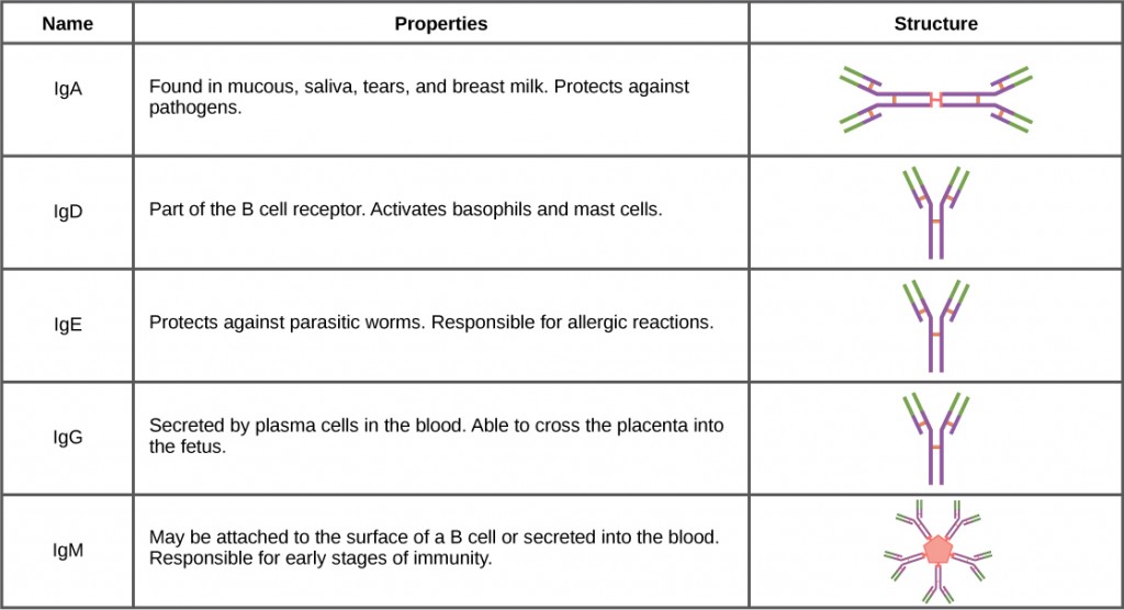 Figure_42_03_02